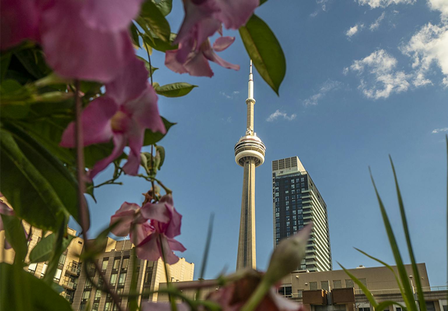 CN Tower