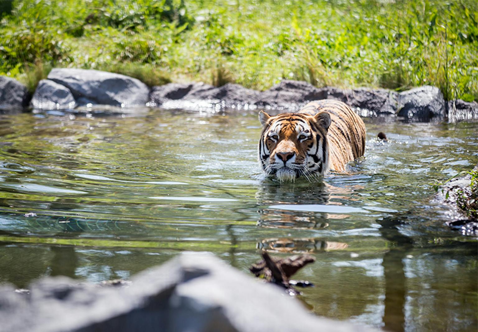 Assiniboine Park Zoo